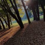 club de golf campestre