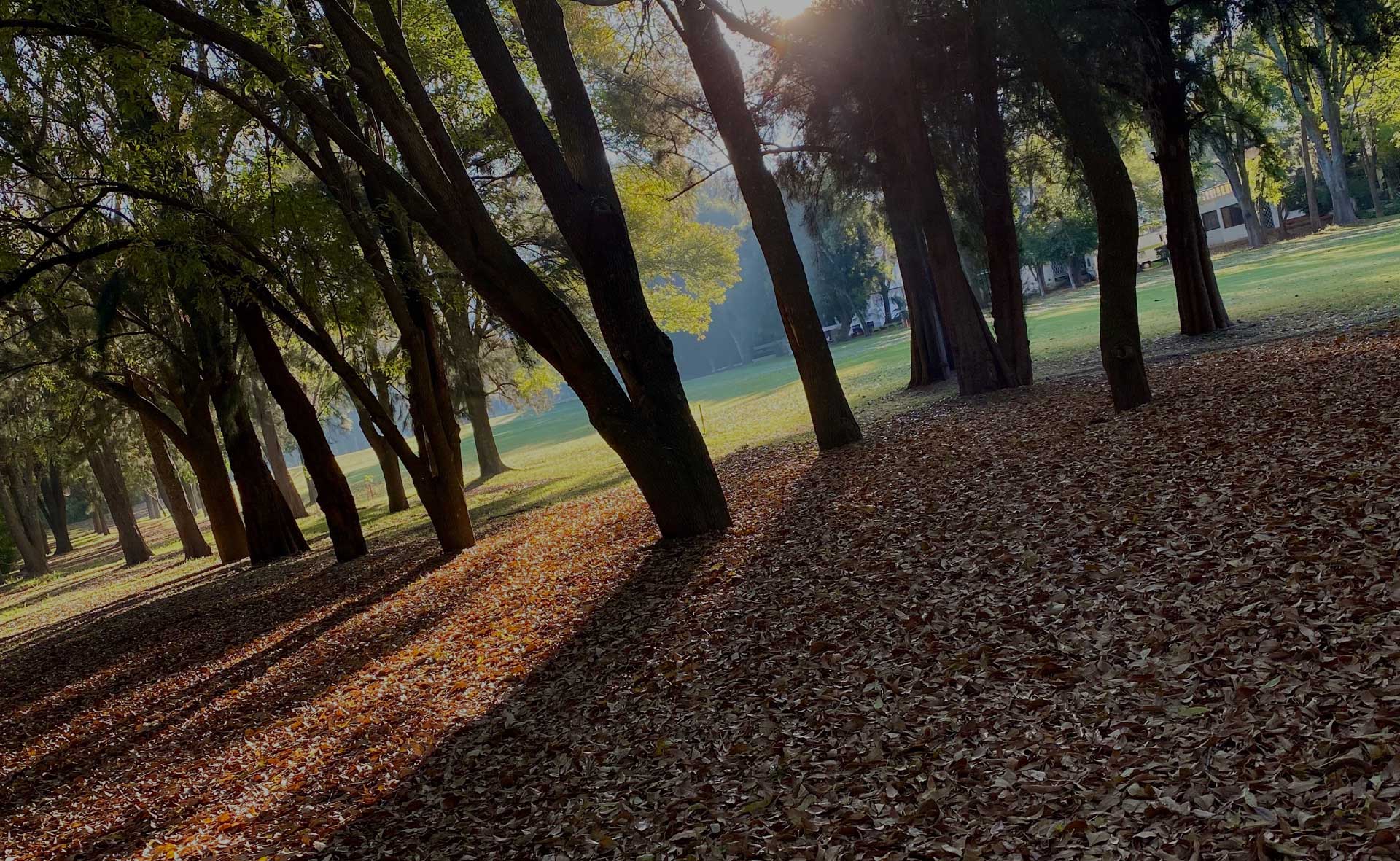 club de golf campestre