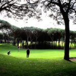 golf de pals